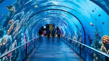 creative LED display innovation